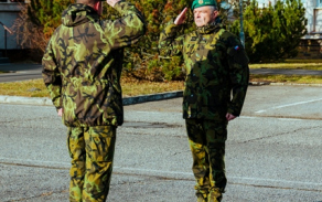 5a.jpg